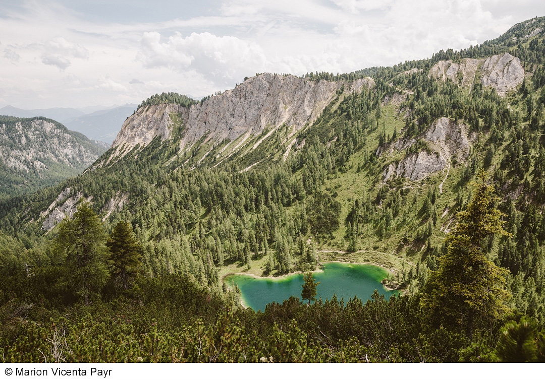 Trek Safari - King Dachstein Trail pro běžce 11